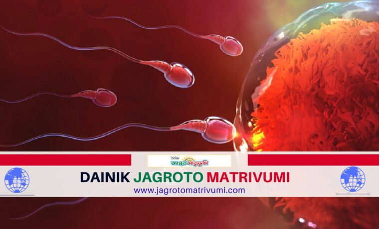 পুরুষের প্রজনন ক্ষমতা বাড়াতে জাদুর মতো কাজ করে এই ৪ খাবার