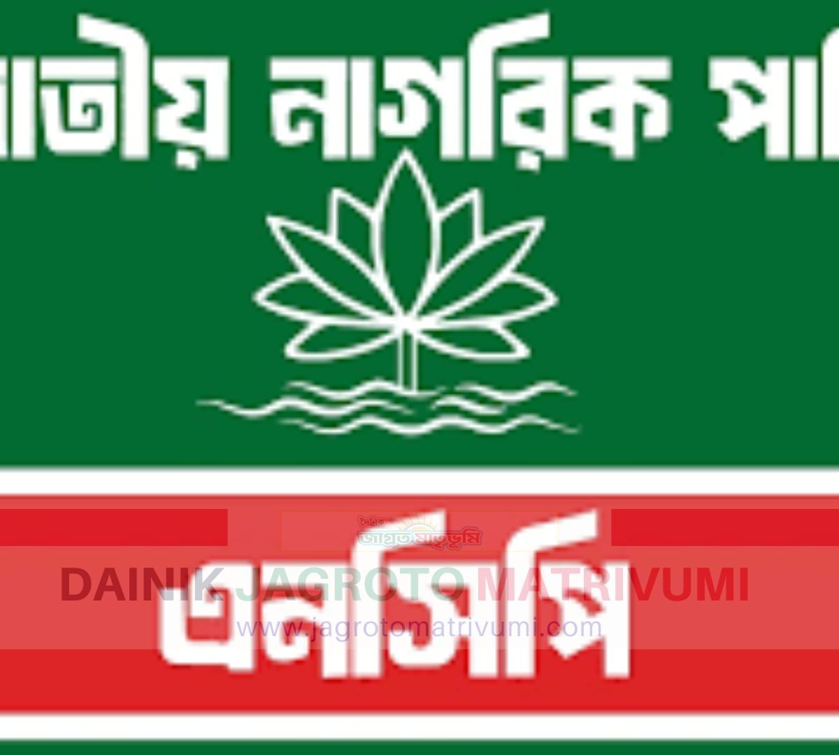 পকেট কমিটি আখ্যা দিয়ে এনসিপির ২২ নেতাকর্মীর একযোগে পদত্যাগ